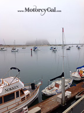 The Road to MotoGP Riding Ducati along the Coast 6 Bayw