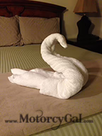 The Road to MotoGP Riding Ducati along the Coast 4 swanw