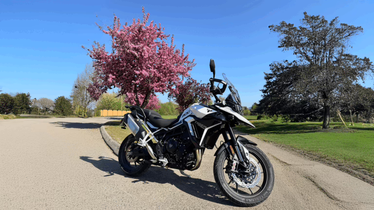 an adventure motorcycle in front of a blooming cherry tree