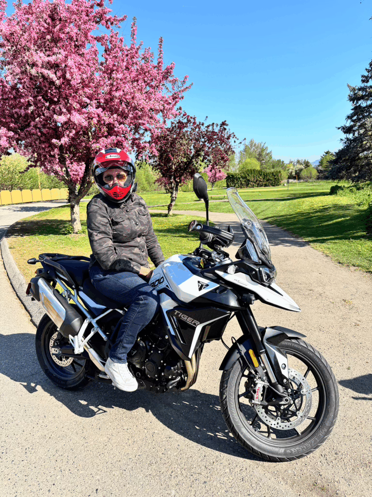 Riding Review: 2025 Triumph Tiger 900 GT Pro 1 MB GT Pro v