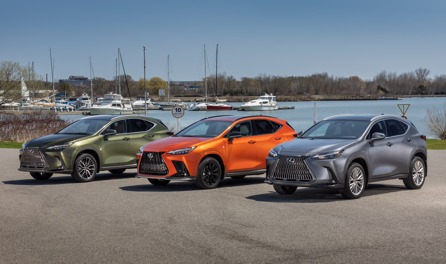 three Lexus NX 350 vehicles parked at a marina