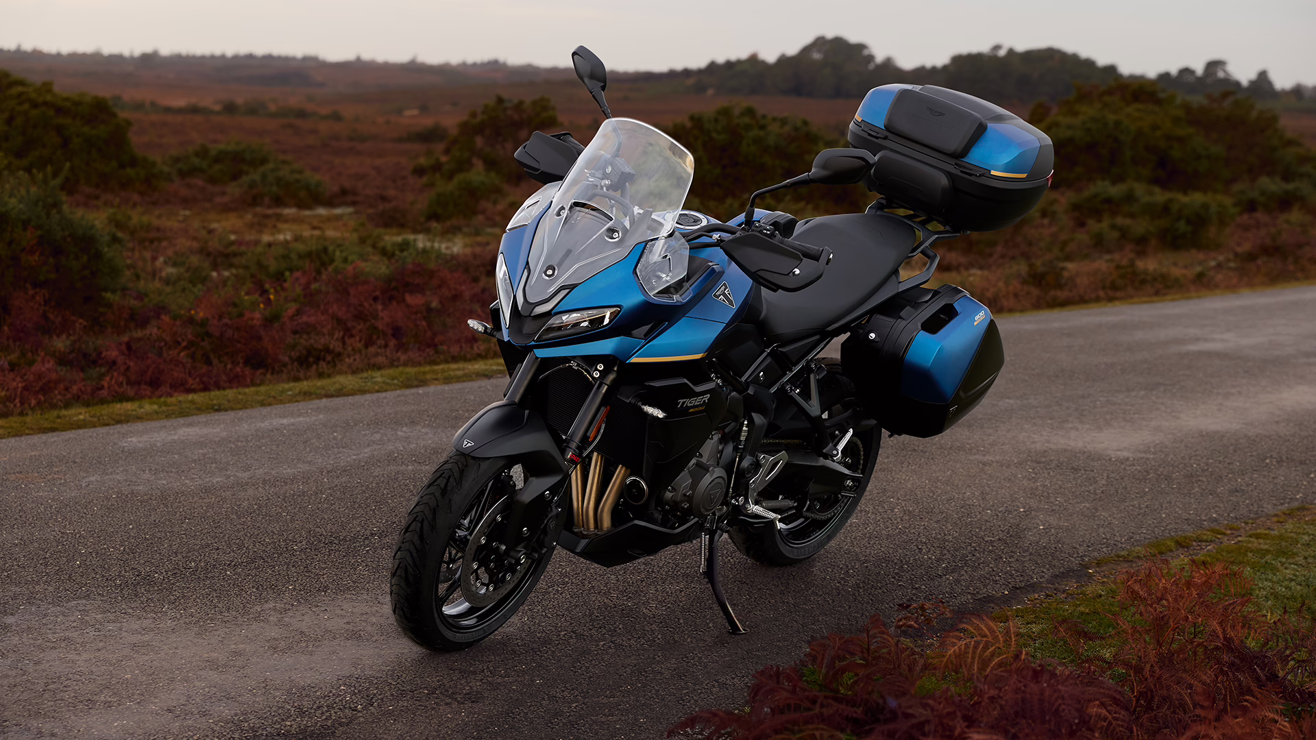 2026 Triumph Tiger Sport 800 Tour in blue